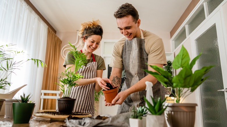 Couple moving plants