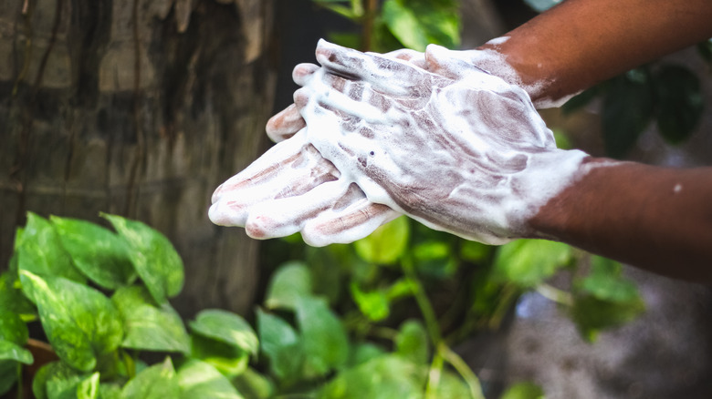 Person scrubbing hands