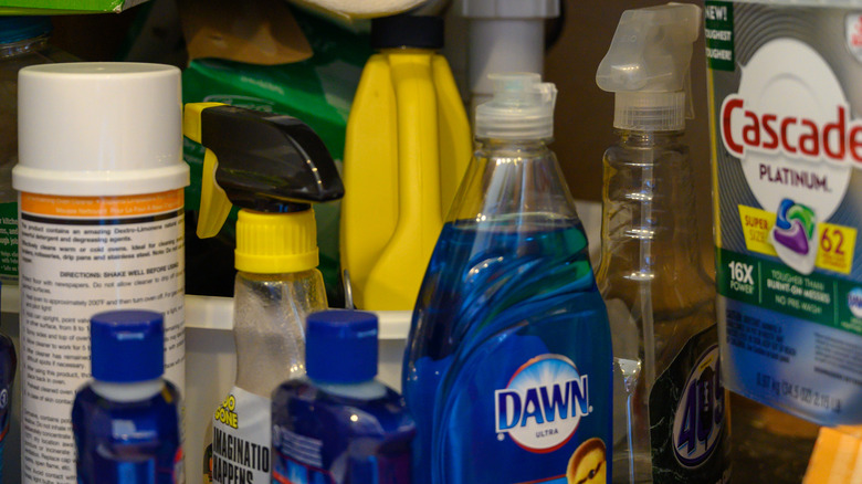 Cleaning supplies in an under-sink kitchen cabinet