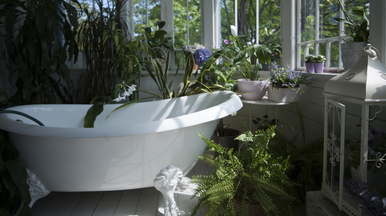 Plant- and light-filled bathroom