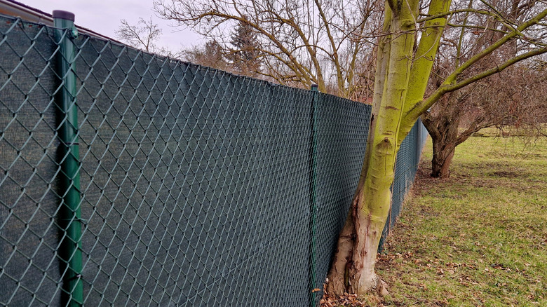 A residential chain link fence around a backyard fitted with a black privacy screen.