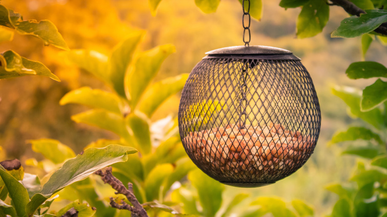 A wire mesh bird feeder surrounded by foliage