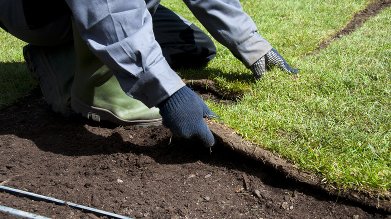 person installing grass turf