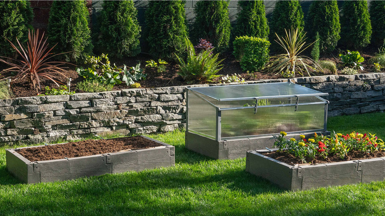 Kombi raised bed and cold frame