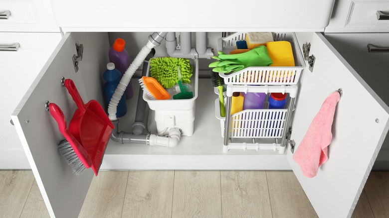 Cabinet with cleaning supplies