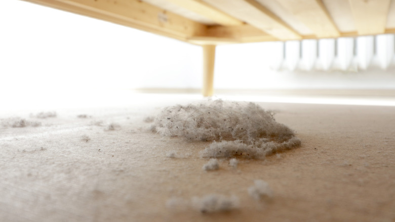 Dirt and dust under bed