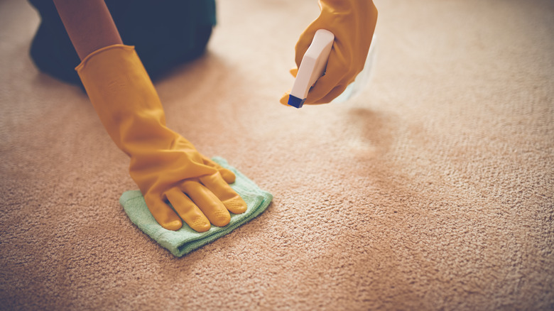 Person scrubbing carpet