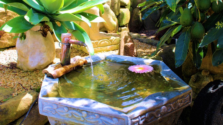 fountain plants stones zen garden