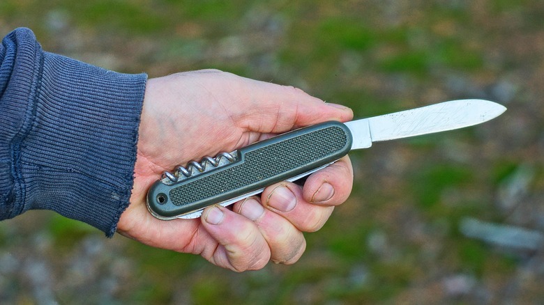 persons holding pocketknife