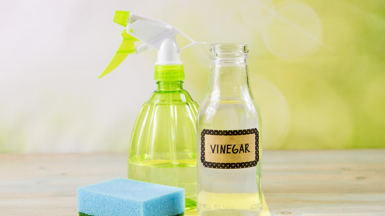 vinegar spray bottle scrub sponge