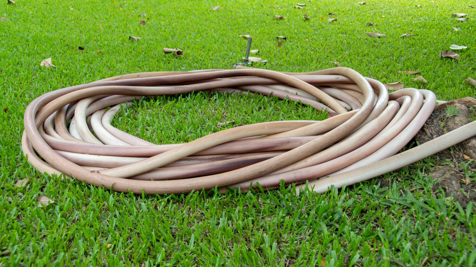 the-kitchen-staple-that-ll-take-your-garden-hose-from-corroded-to