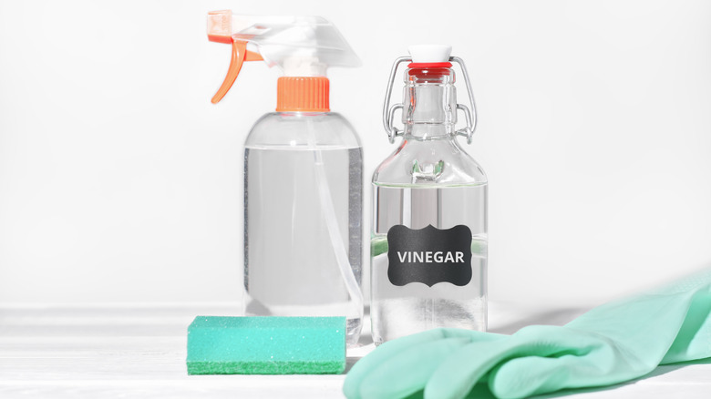 vinegar, sponge, and spray bottle