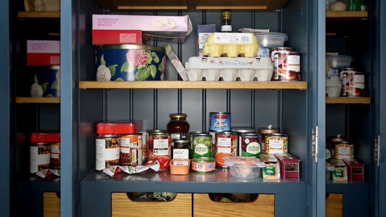 Dark blue pantry shelves are full of food