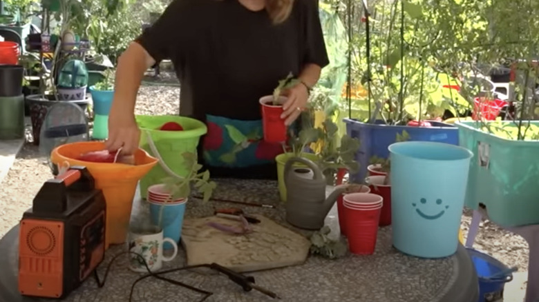 woman adding kitty litter to plant