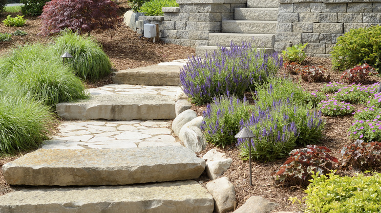 Paver walkway with plants growing around it