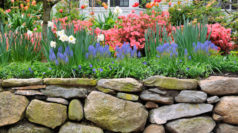 A landscaped garden wall build with natural stone