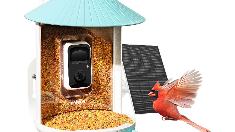 Birdfy smart bird feeder with camera