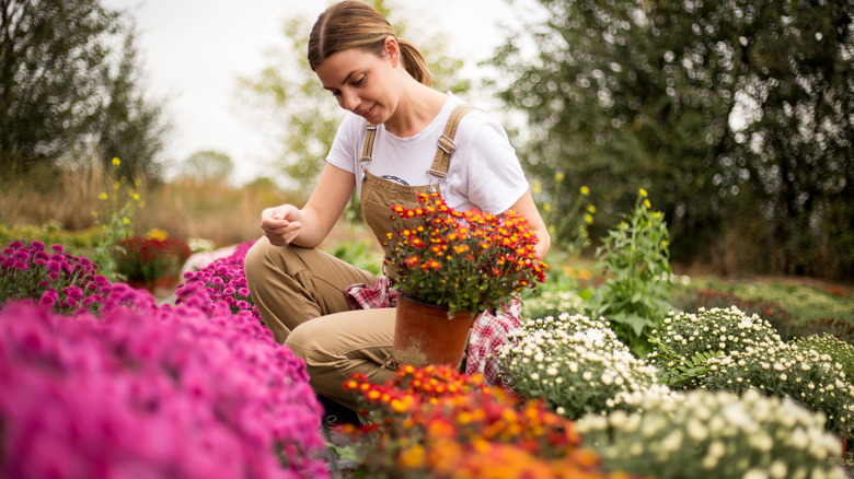 Woman planting flowers