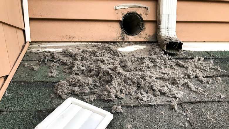 Lint outside dryer vent