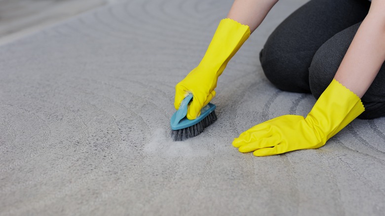 Person scrubbing carpet stain