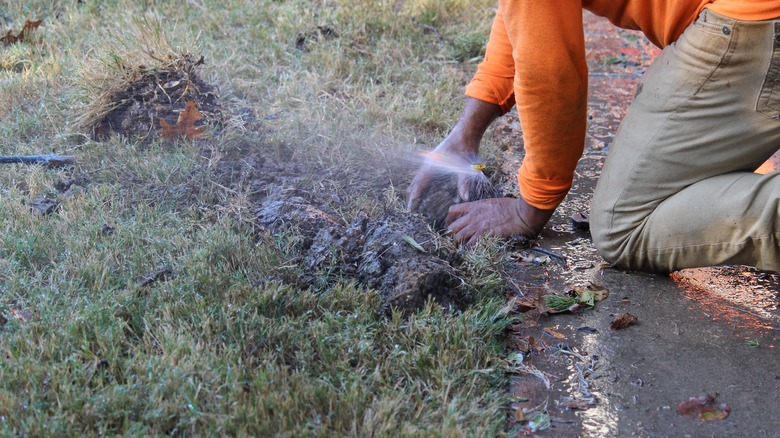 Sprinkler that's creating mud