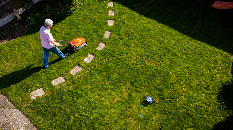 Aerial view of cutting grass