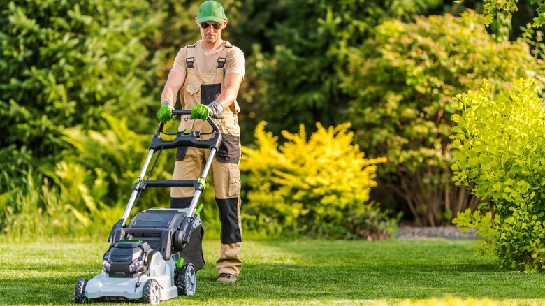 man cutting lawn grass