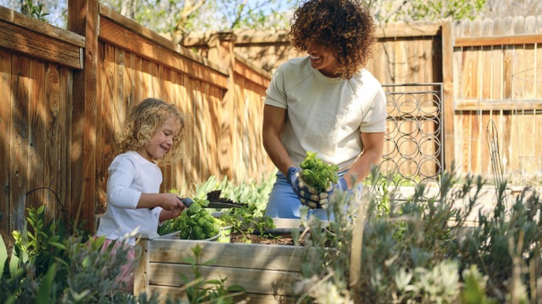 Woman and child backyard gardening 
