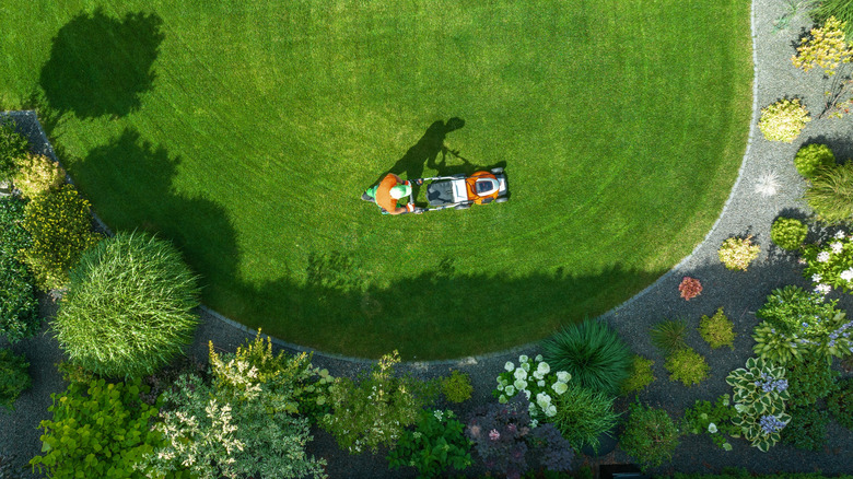 Man mowing large lawn