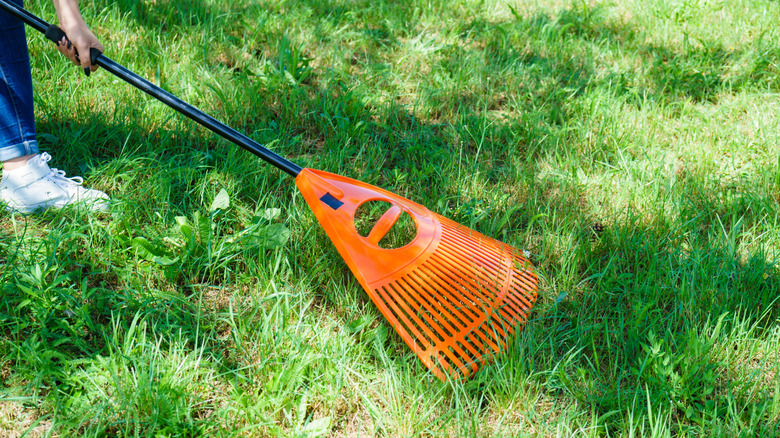 Person using orange rake in grass