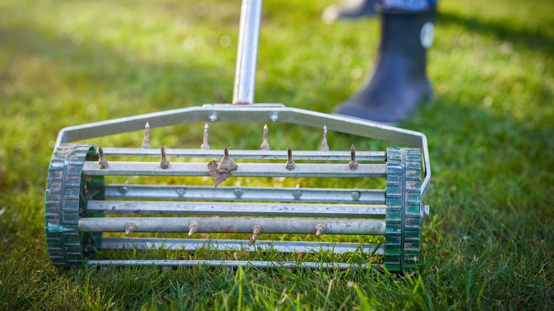 Person aerating lawn