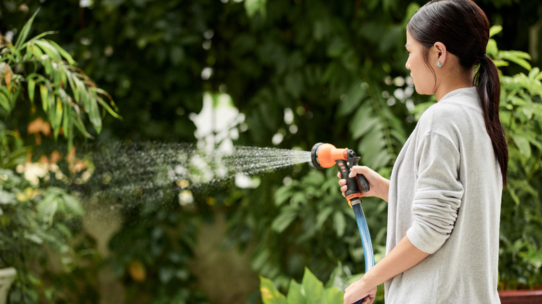 Woman watering plant