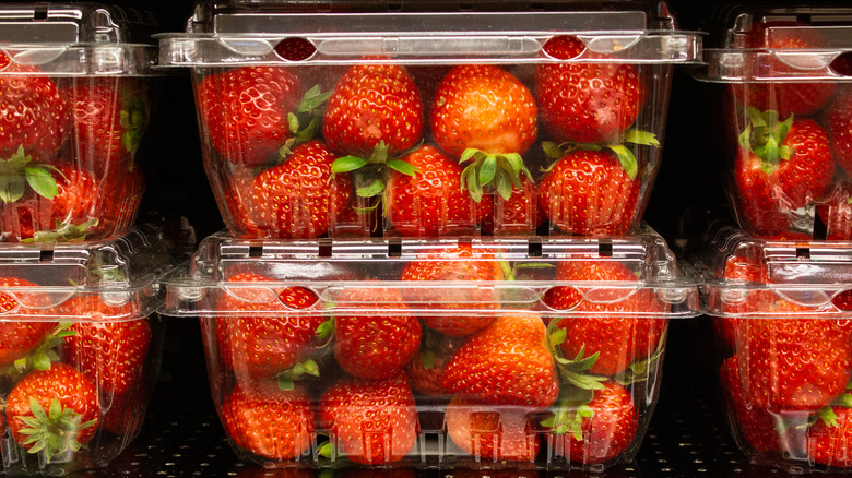 strawberry containers