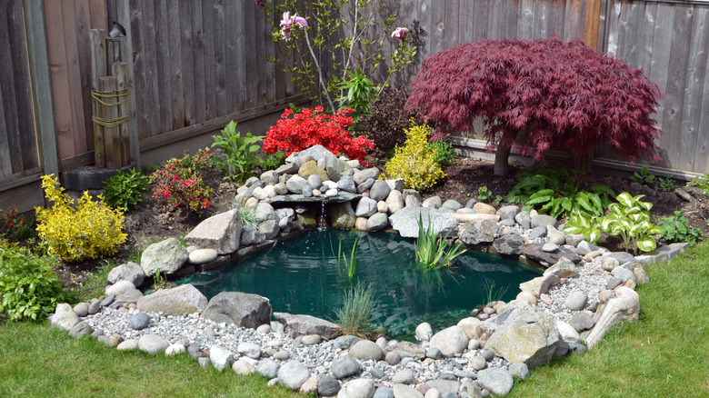 Close-up of a homemade backyard pond surrounded by plants