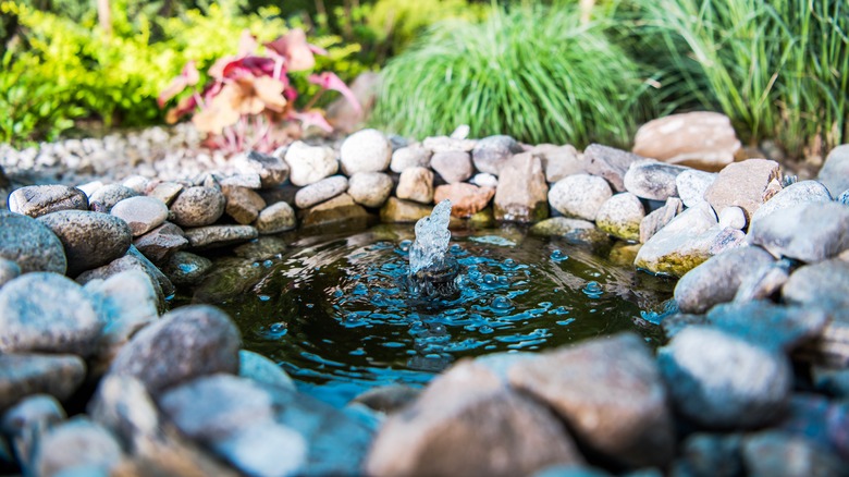 Pond water feature with bubbler