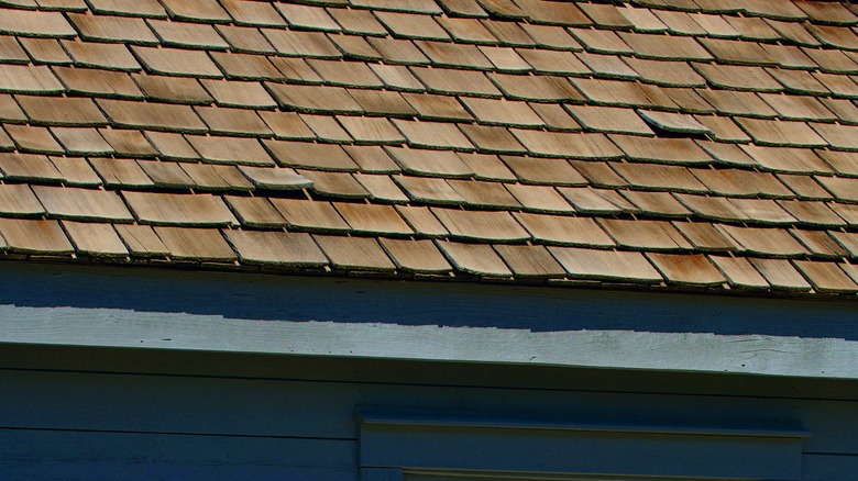 Cedar shakes on a shed roof