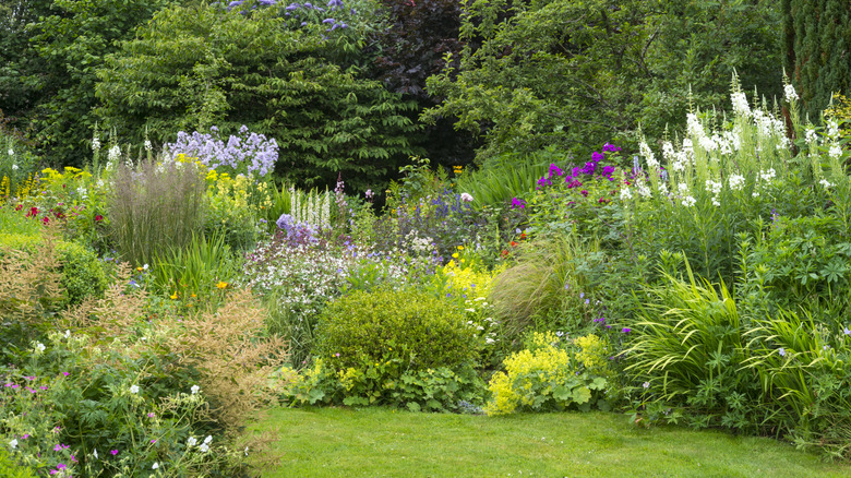 A gardener pulls weeds from a garden in need of ground cover plants.