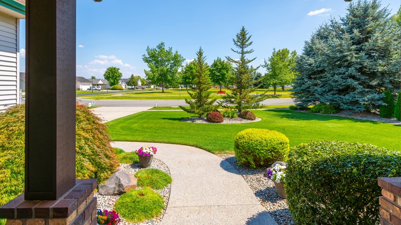 sunny front garden