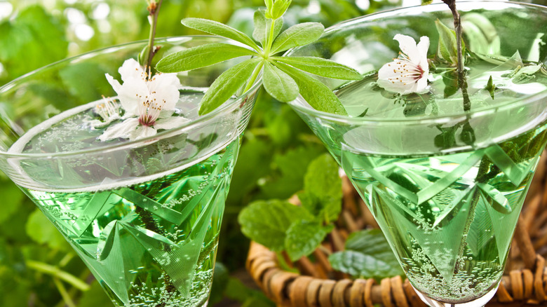 Sweet woodruff in May wine