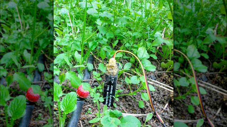 DIY capacitive soil moisture sensor