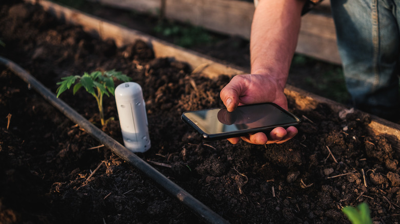 App-connected soil moisture sensor