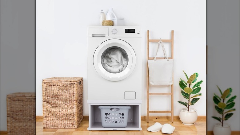 organized laundry room with pedestal