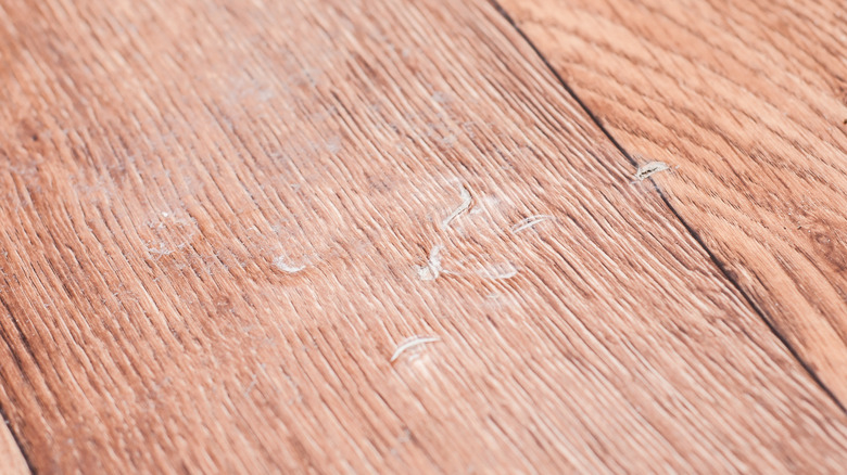 Closeup of dents and damage from furniture on linoleum wood-look floor