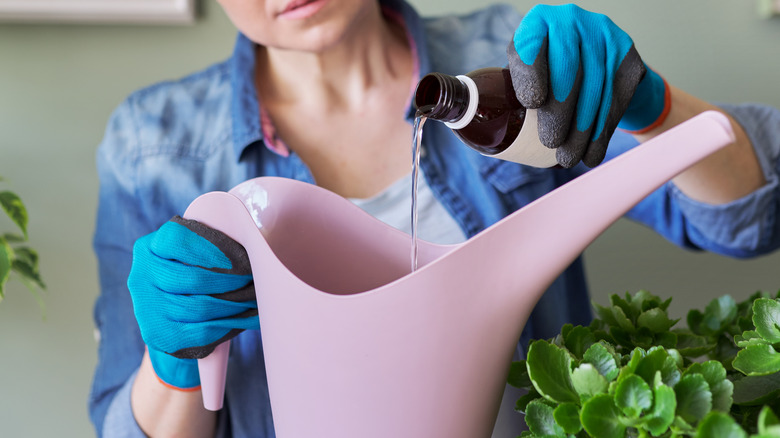 Person pouring liquid into watering can