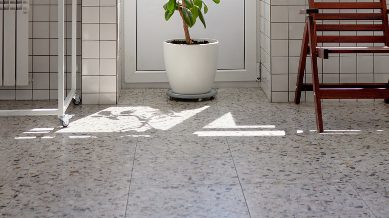 Terrazzo tile floors in a room with a potted plant and a wooden chair