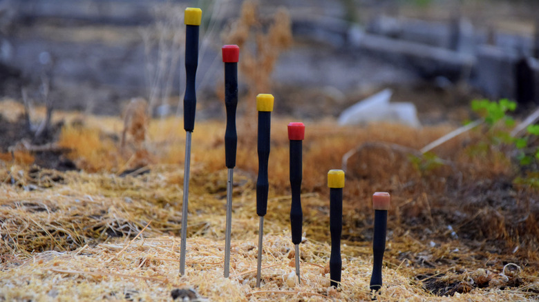 Screwdriver pushed into grass 