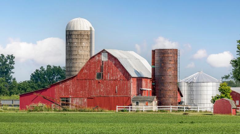 Farm landscape