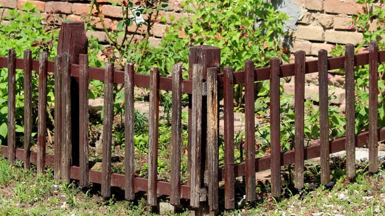 Wooden fence surrounding garden