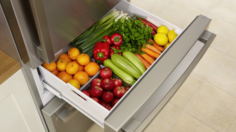 fridge drawer with dividers