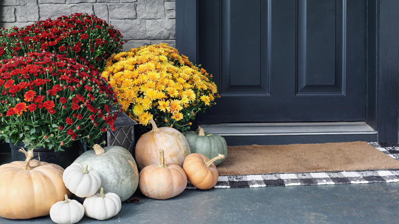 Plants on front porch